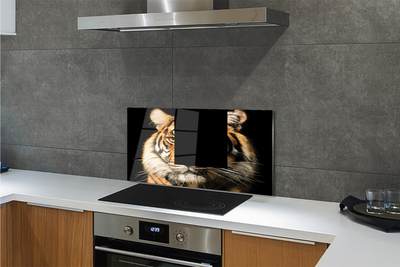 Küchenrückwand spritzschutz Tiger