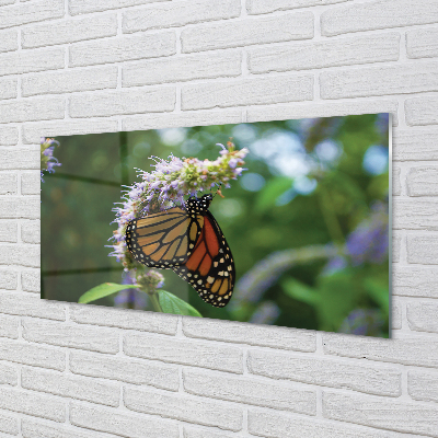 Küchenrückwand spritzschutz Schmetterling farbige blumen