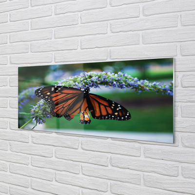 Küchenrückwand spritzschutz Schmetterling auf blume