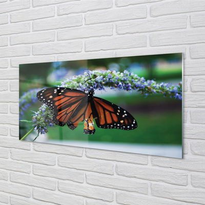 Küchenrückwand spritzschutz Schmetterling auf blume