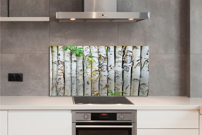 Küchenrückwand spritzschutz Birkenblätter
