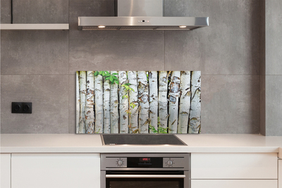 Küchenrückwand spritzschutz Birkenblätter