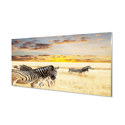 Küchenrückwand spritzschutz Sonnenuntergang auf dem feld zebra