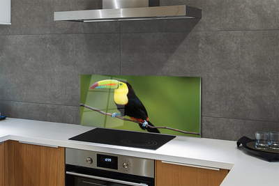 Küchenrückwand spritzschutz Papagei auf einem zweig gefärbt
