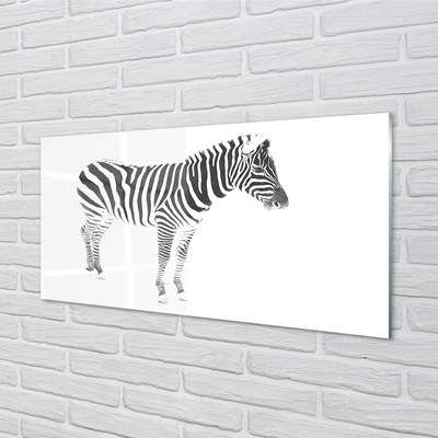 Küchenrückwand spritzschutz Painted zebra