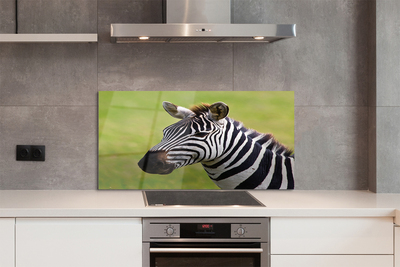 Küchenrückwand spritzschutz Zebra