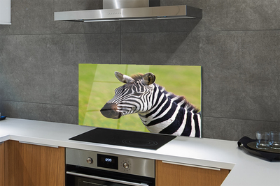 Küchenrückwand spritzschutz Zebra