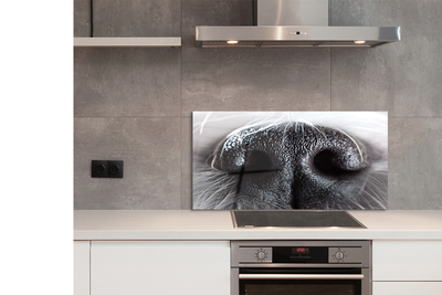 Küchenrückwand spritzschutz Hundenase