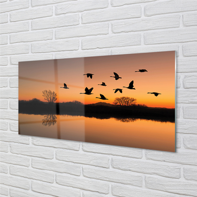 Küchenrückwand spritzschutz Sonnenuntergang fliegende vögel