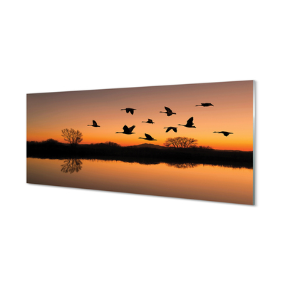 Küchenrückwand spritzschutz Sonnenuntergang fliegende vögel