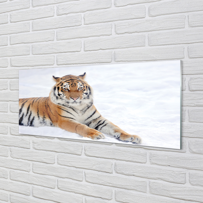 Küchenrückwand spritzschutz Tiger winter