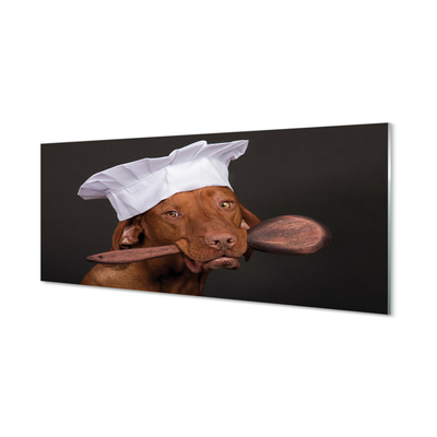Küchenrückwand spritzschutz Kopf des hundes