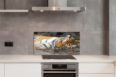 Küchenrückwand spritzschutz Liegend tiger