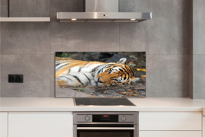 Küchenrückwand spritzschutz Liegend tiger