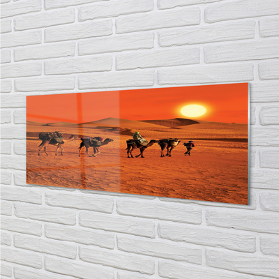 Küchenrückwand spritzschutz Kamele himmel sonne wüste menschen