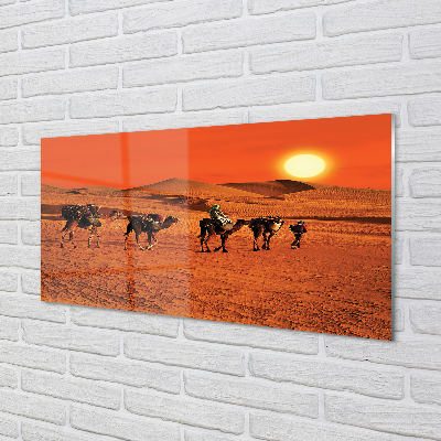 Küchenrückwand spritzschutz Kamele himmel sonne wüste menschen