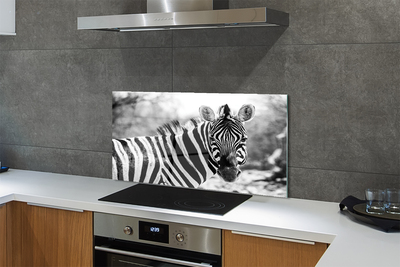 Küchenrückwand spritzschutz Zebra retro