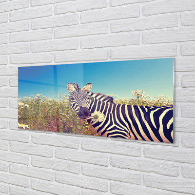 Küchenrückwand spritzschutz Zebra blumen