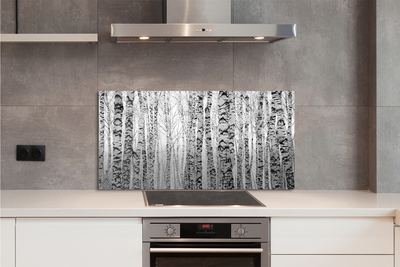 Küchenrückwand spritzschutz Birke schwarz und weiß