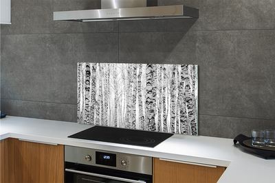 Küchenrückwand spritzschutz Birke schwarz und weiß