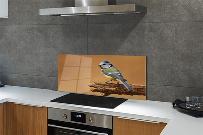 Küchenrückwand spritzschutz Vogel