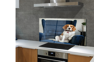 Küchenrückwand spritzschutz Sit dog