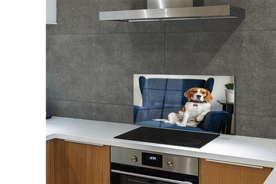 Küchenrückwand spritzschutz Sit dog