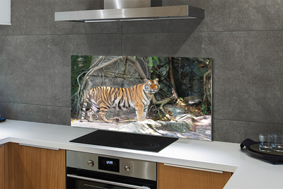 Küchenrückwand spritzschutz Tiger dschungel
