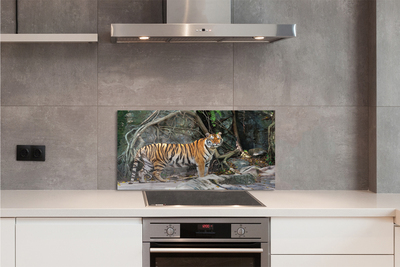 Küchenrückwand spritzschutz Tiger dschungel