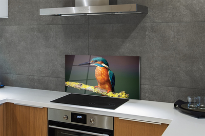 Küchenrückwand spritzschutz Farbiger vogel auf einem ast