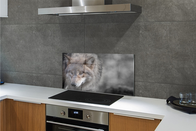 Küchenrückwand spritzschutz Wolf