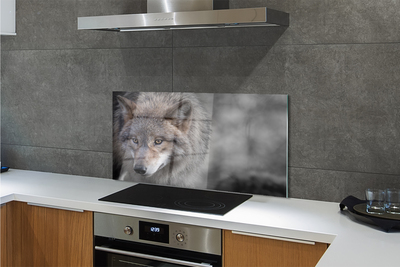 Küchenrückwand spritzschutz Wolf
