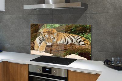 Küchenrückwand spritzschutz Tiger baum