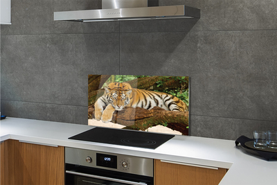 Küchenrückwand spritzschutz Tiger baum