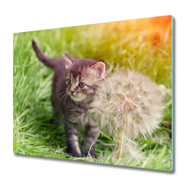 Glas Herdabdeckplatte Kätzchen Pusteblume