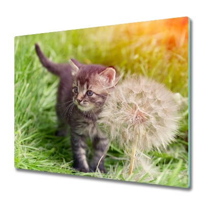 Glas Herdabdeckplatte Kätzchen Pusteblume