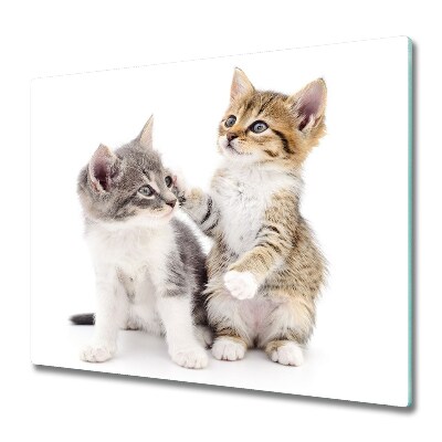 Glas Herdabdeckplatte Zwei kleine Katzen