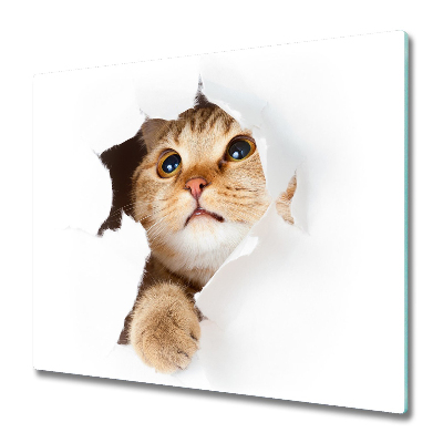 Glas Herdabdeckplatte Katze im Loch