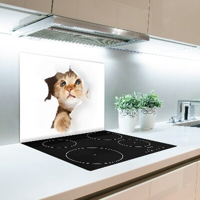 Glas Herdabdeckplatte Katze im Loch