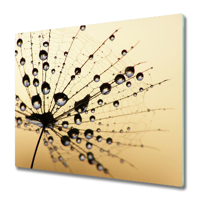 Glas Herdabdeckplatte Pusteblume