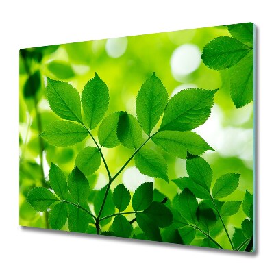 Glas Ceranfeldabdeckung Spritzschutz Grüne Blätter