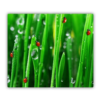 Glas Ceranfeldabdeckung Spritzschutz Marienkäfer Gras