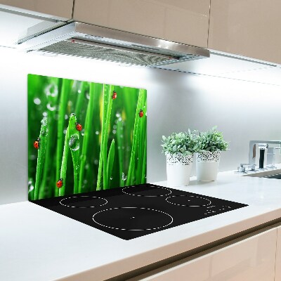 Glas Ceranfeldabdeckung Spritzschutz Marienkäfer Gras