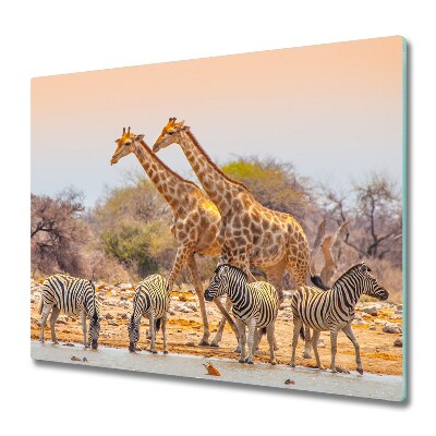 Glas Ceranfeldabdeckung Spritzschutz Giraffen und Zebras