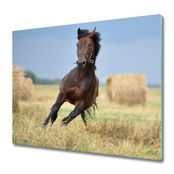 Glas Ceranfeldabdeckung Spritzschutz Pferd im Galopp