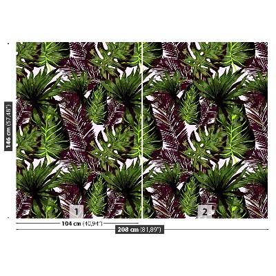 Motivtapete Monstera blätter