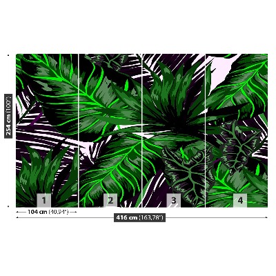 Motivtapete Monstera blätter