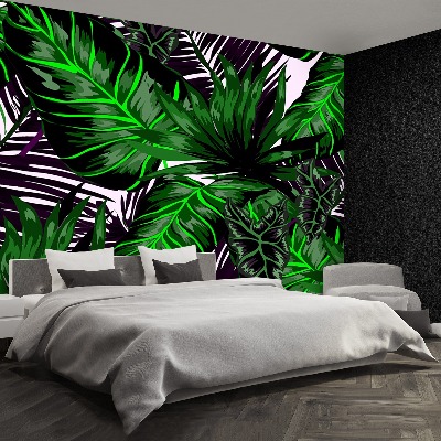 Motivtapete Monstera blätter