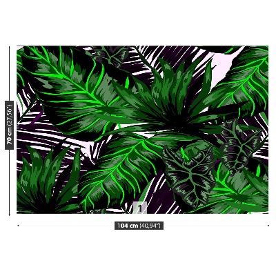 Motivtapete Monstera blätter