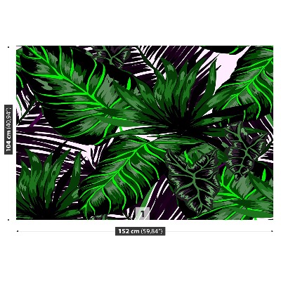 Motivtapete Monstera blätter